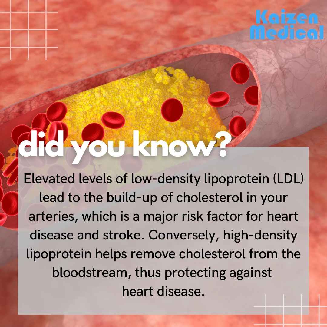 Understanding the Risks of High Cholesterol Insights from an ...